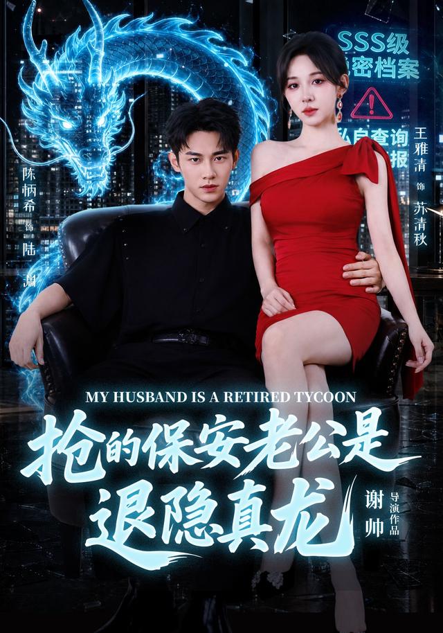 抢的保安老公是退隐真龙海报